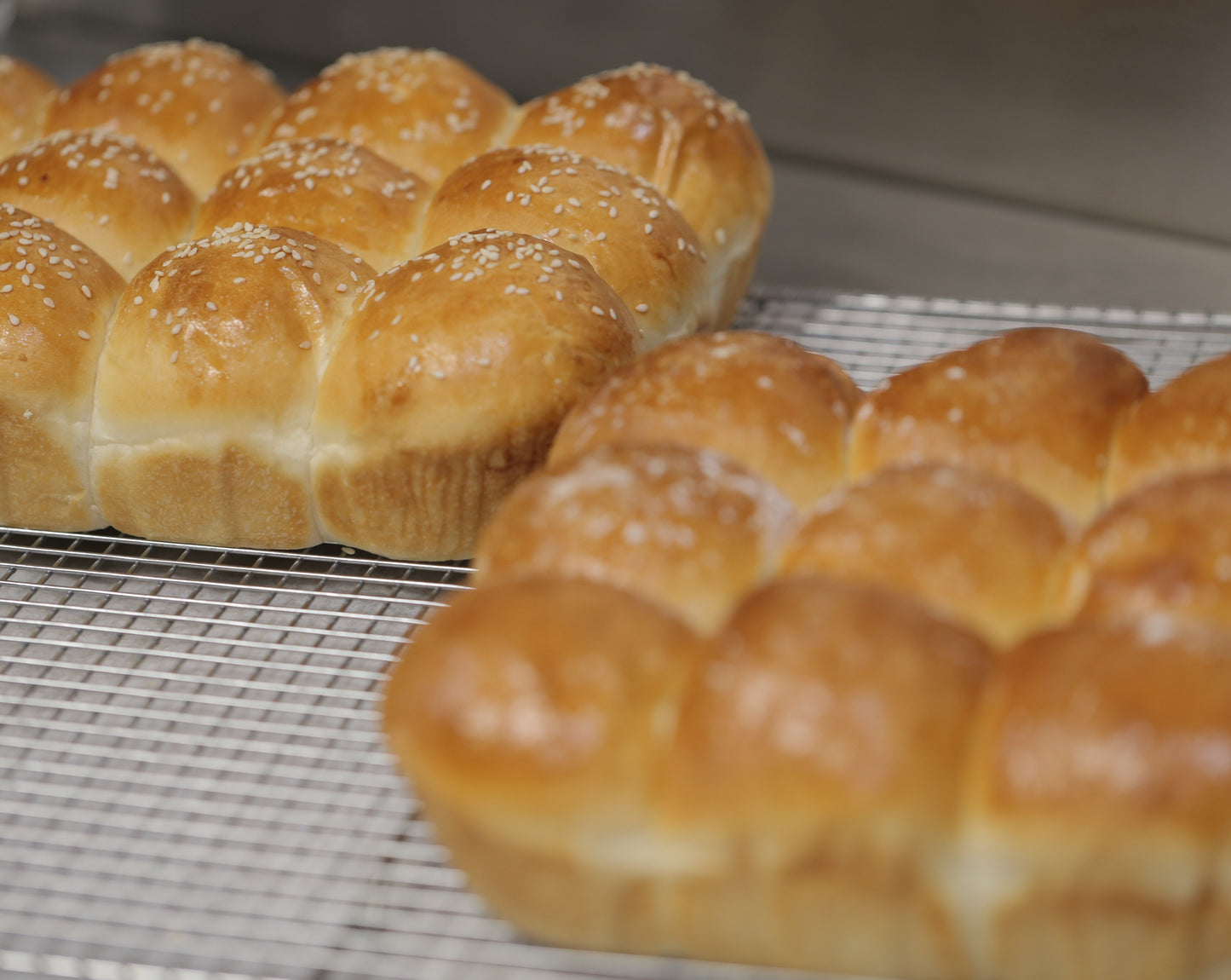 Brioche Rolls (Pre-order)