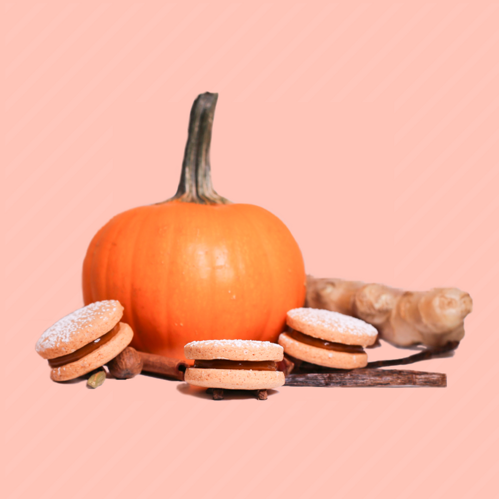 Pumpkin Spice Alfajor Assortment (Now Available!) - Dulceology